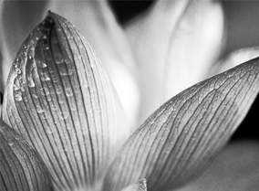 呼死你轰炸短信平台