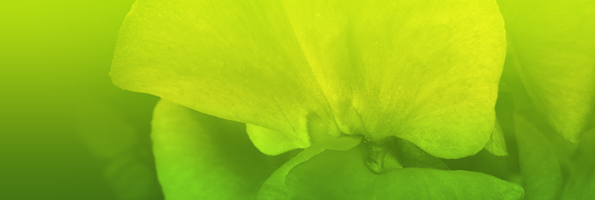 电话短信轰炸机